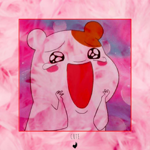 精品精品无码视频在线观看
