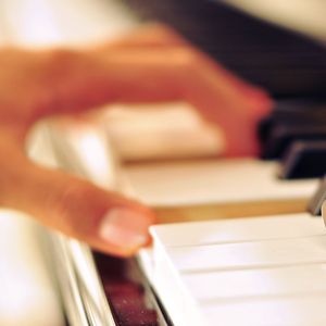 精品精品无码视频在线观看
