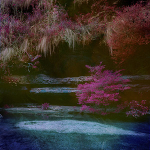 精品精品无码视频在线观看
