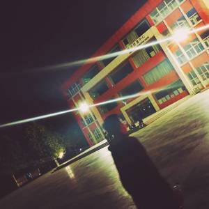 精品精品无码视频在线观看
