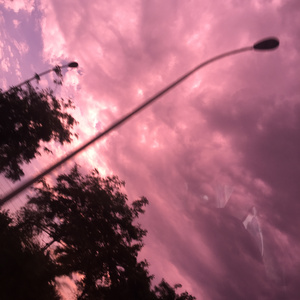 精品精品无码视频在线观看
